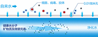 净化水设备